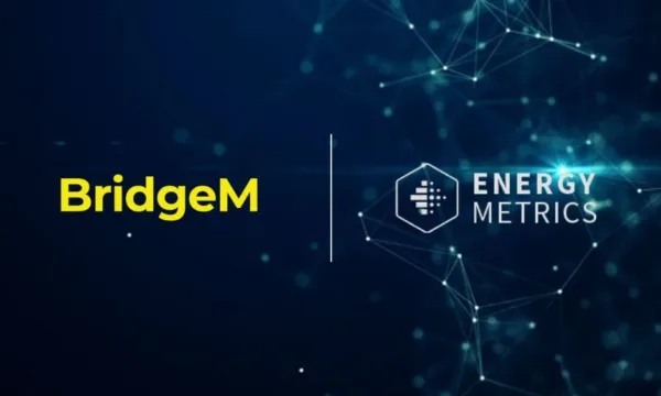 BridgeM and Energy Metrics Multichannel Marketing Strategy