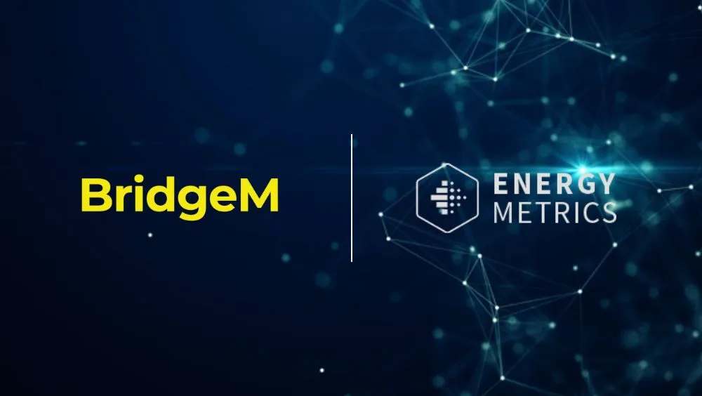 BridgeM and Energy Metrics Multichannel Marketing Strategy