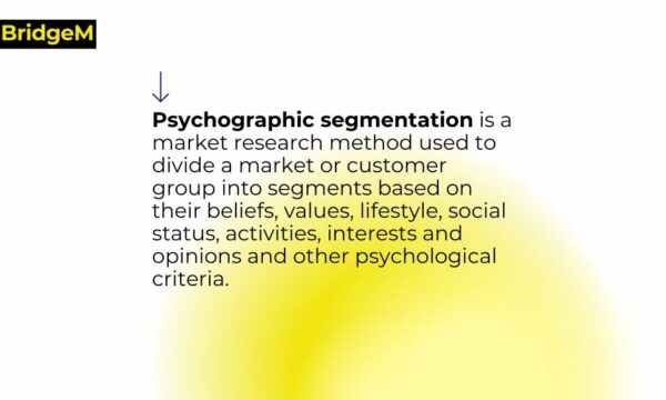 Psychographic segementation in multicultural marketing