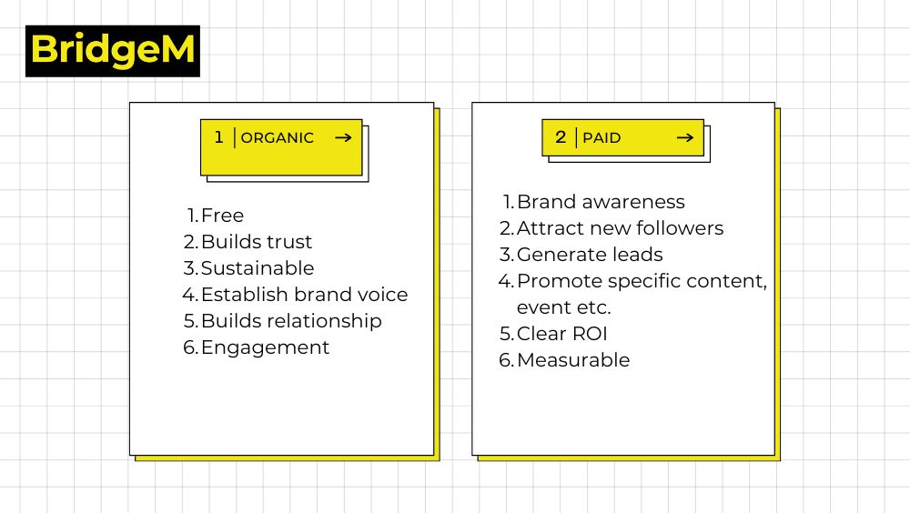 Social Media Strategy: Organic vs Paid