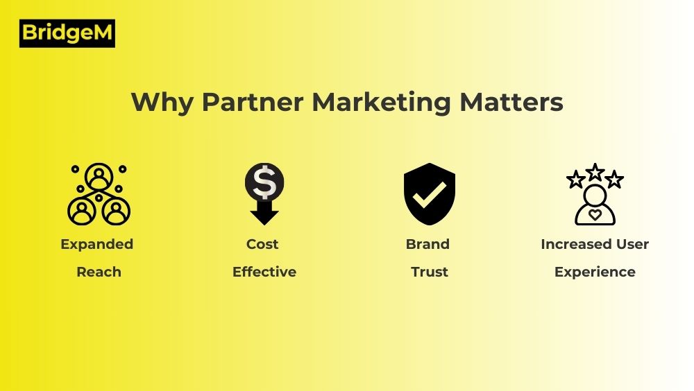 Partner Marketing - Why is matters?