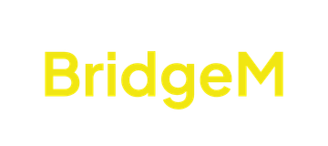 BridgeM Footer Logo